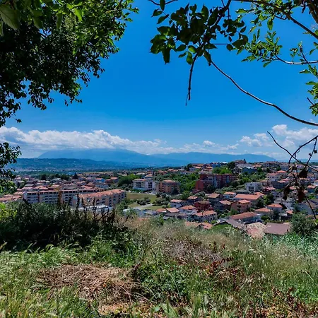 Apartment Guesthost - Colli Modern With Courtyard *